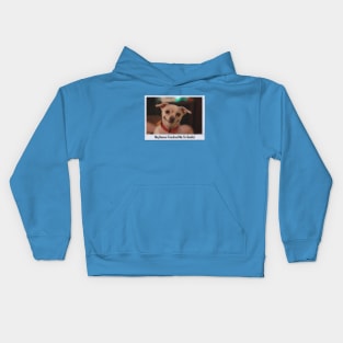 Dog Caught Smiling {The Unwritten Photo} - When You Learn, You Surely Know Something! Puppies, Dogs, You Name It, They're Good. This One Doesn't Really Pant Though... Hey What If It's A Smirk? Cheese For The Camera! (What Polaroid Even Makes This Shape?) Kids Hoodie